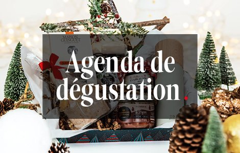 11382 formatsweb img5