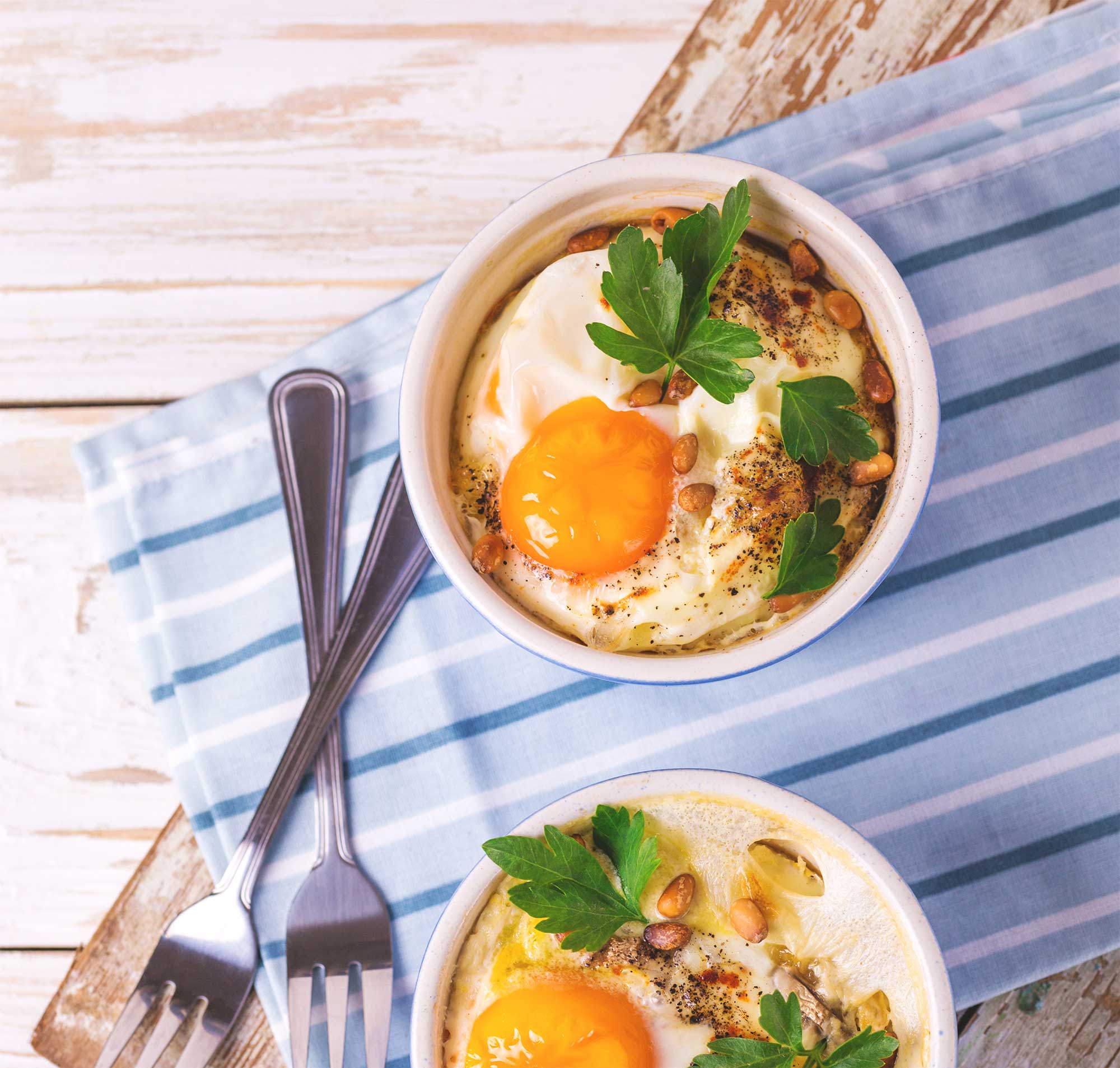 oeuc cocotte oeuc cocotte